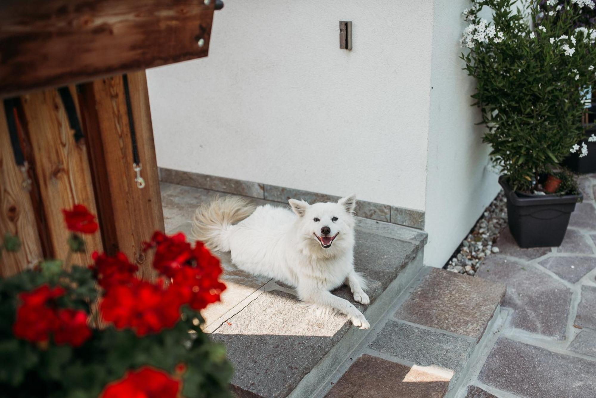 Grosskarnaiderhof Appartements-Bauernhof-Natur Pur ลูซอน ภายนอก รูปภาพ