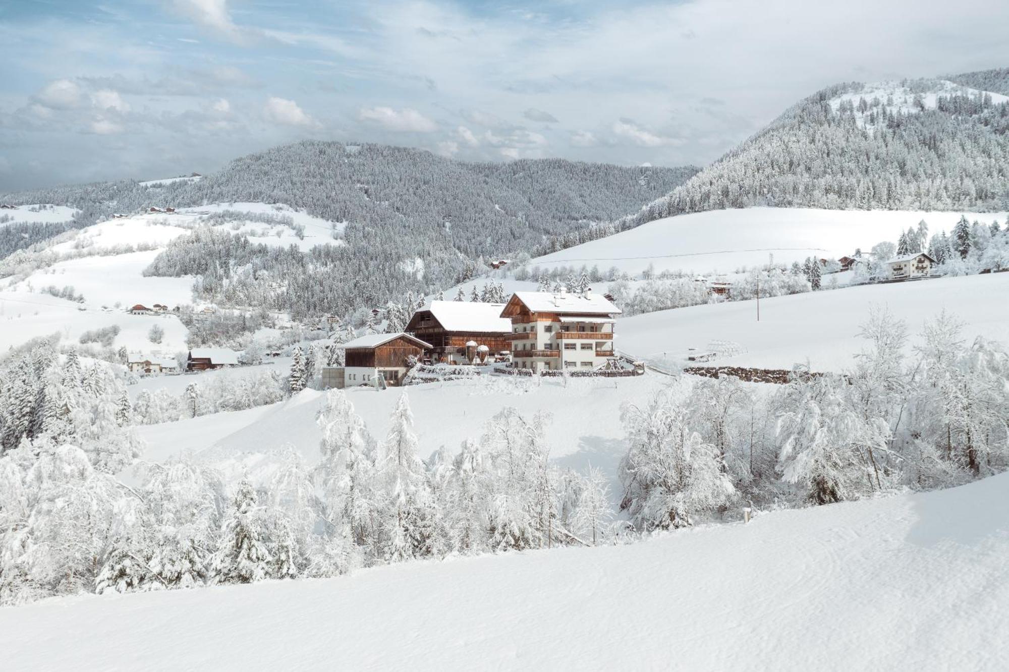 Grosskarnaiderhof Appartements-Bauernhof-Natur Pur ลูซอน ภายนอก รูปภาพ