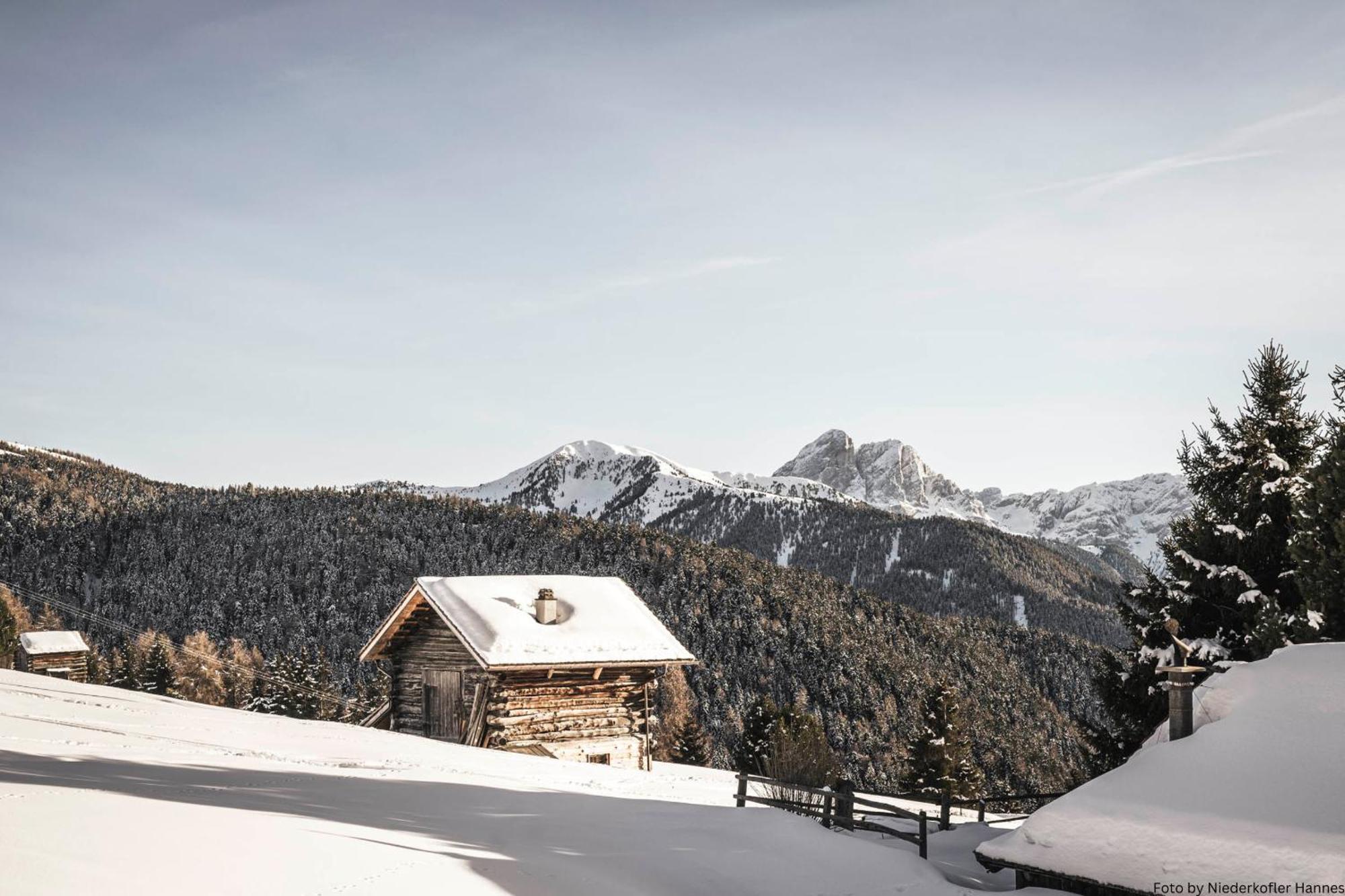 Grosskarnaiderhof Appartements-Bauernhof-Natur Pur ลูซอน ภายนอก รูปภาพ